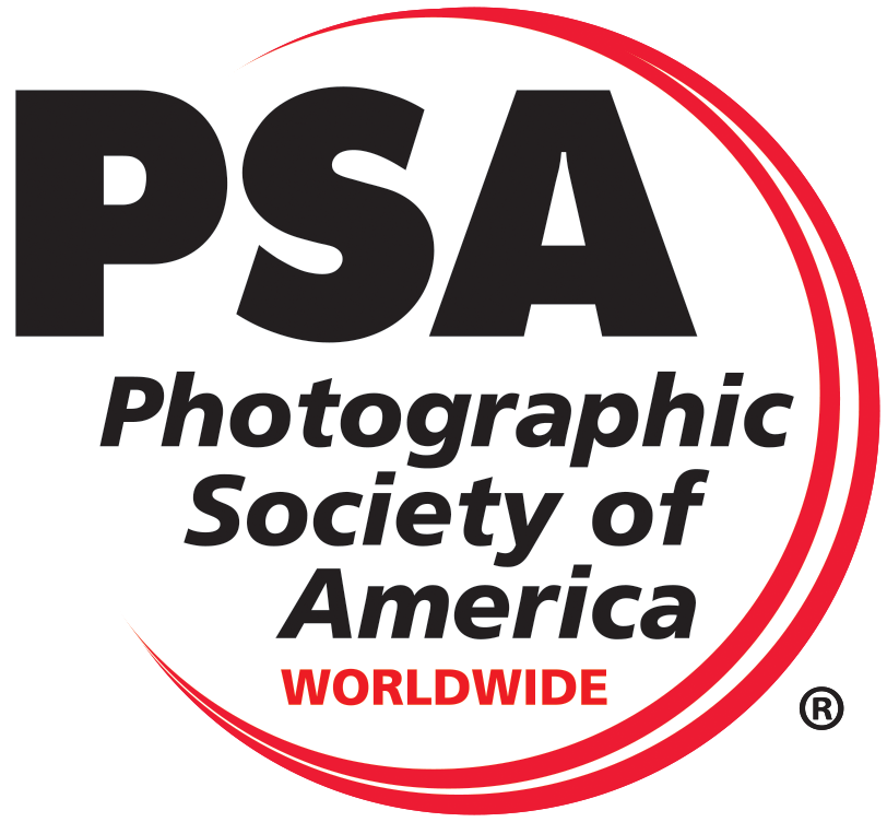 PSA Official Logo